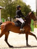 DSC01558 DSC01558