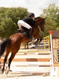 DSC01559 DSC01559