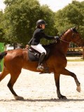 DSC01565 DSC01565