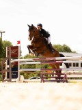 DSC01567 DSC01567