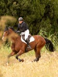DSC04680 DSC04680