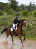 IMG_9967 IMG_9967
