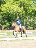 DSC08378 DSC08378