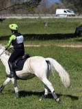 IMG_1848
