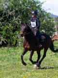 IMG_1351 IMG_1351
