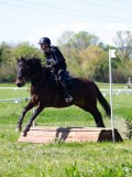 IMG_1355 IMG_1355