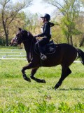 IMG_1356 IMG_1356