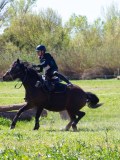 IMG_1359 IMG_1359