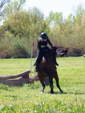 IMG_1362 IMG_1362