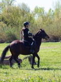 IMG_1364 IMG_1364