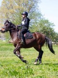 IMG_1365 IMG_1365