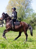 IMG_1366 IMG_1366