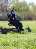 IMG_1368 IMG_1368