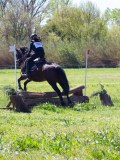 IMG_1369 IMG_1369