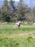IMG_1371 IMG_1371