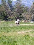 IMG_1372 IMG_1372