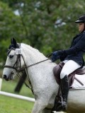 AP103793 AP103793