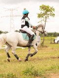 DSC08856 DSC08856