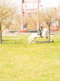 SGE05424