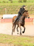 DSC07373 DSC07373