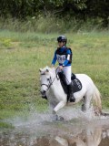 IMG_3686 IMG_3686