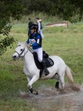 IMG_3687 IMG_3687