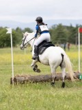 IMG_3689 IMG_3689