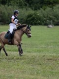 IMG_3747 IMG_3747