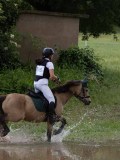 IMG_3749 IMG_3749