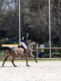 IMG_6905