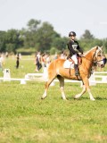 SGE03015