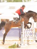 DSC02997 DSC02997