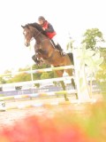 DSC03000 DSC03000