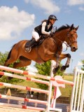DSC07848 DSC07848