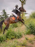 IMG_4005