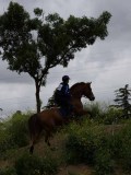 IMG_4073 IMG_4073