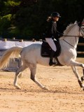 DSC03835 DSC03835