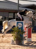 DSC03838 DSC03838