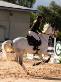 DSC03839 DSC03839