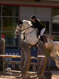 DSC03840 DSC03840