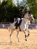 DSC03843 DSC03843