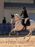 DSC03854 DSC03854