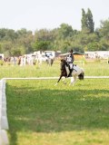 SGE03067
