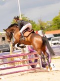 DSC07925 DSC07925