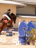 DSC07935 DSC07935