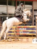 DSC02793 DSC02793