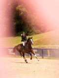 DSC07945 DSC07945