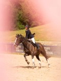 DSC07946 DSC07946