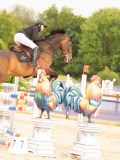 DSC02478 DSC02478