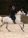 DSC00548